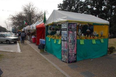 NUEVA MUESTRA DE LA FERIA DE LAS COLECTIVIDADES