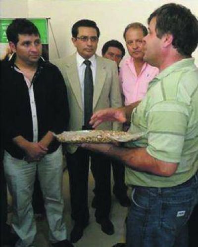 Impulsan proyecto para ayudar al productor nogalero de Andalgal�