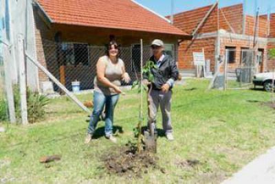 Cerca de 700 �rboles plantados en Barrio Parque El Salvador