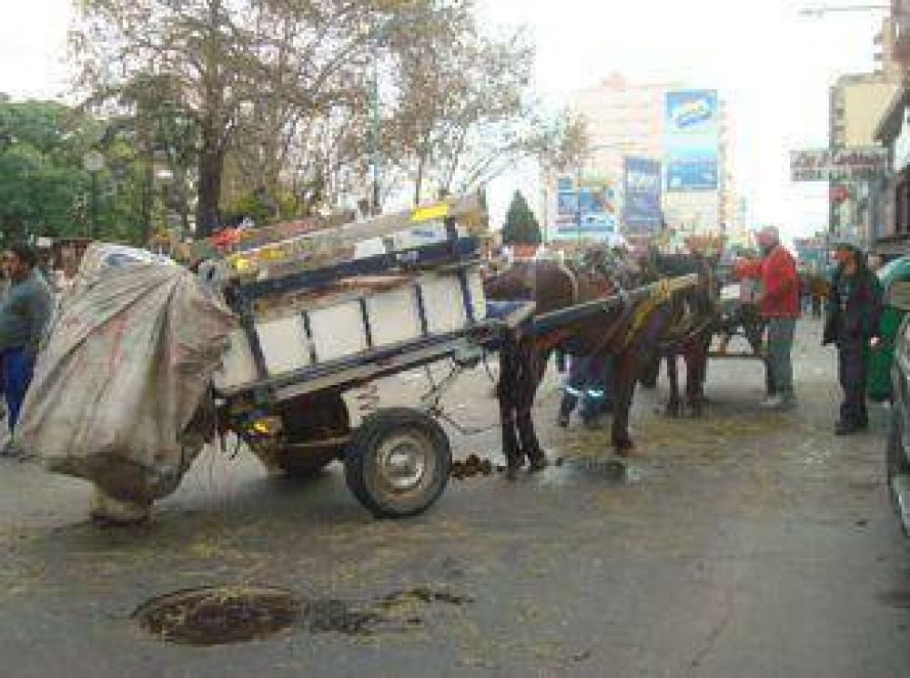 No hay ninguna duda: la prohibici�n de la tracci�n a sangre comienza el s�bado