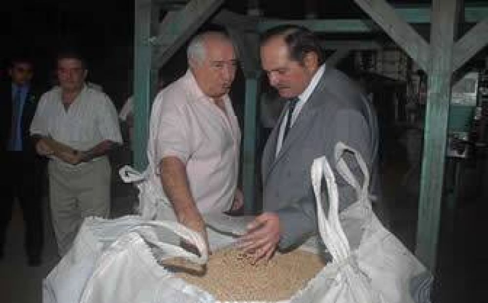 Producci�n: una empresa de legumbres llega a Tucum�n 