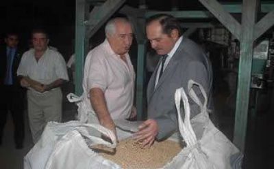 Producci�n: una empresa de legumbres llega a Tucum�n 