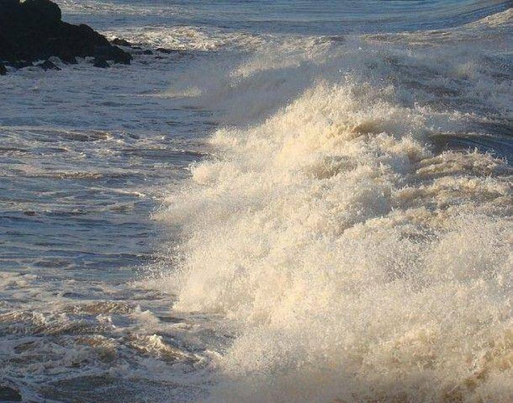 Mar del Plata, entre las diez ciudades m�s buscadas en Google