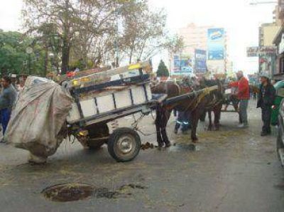 Los cartoneros y la nueva ordenanza municipal dan que hablar