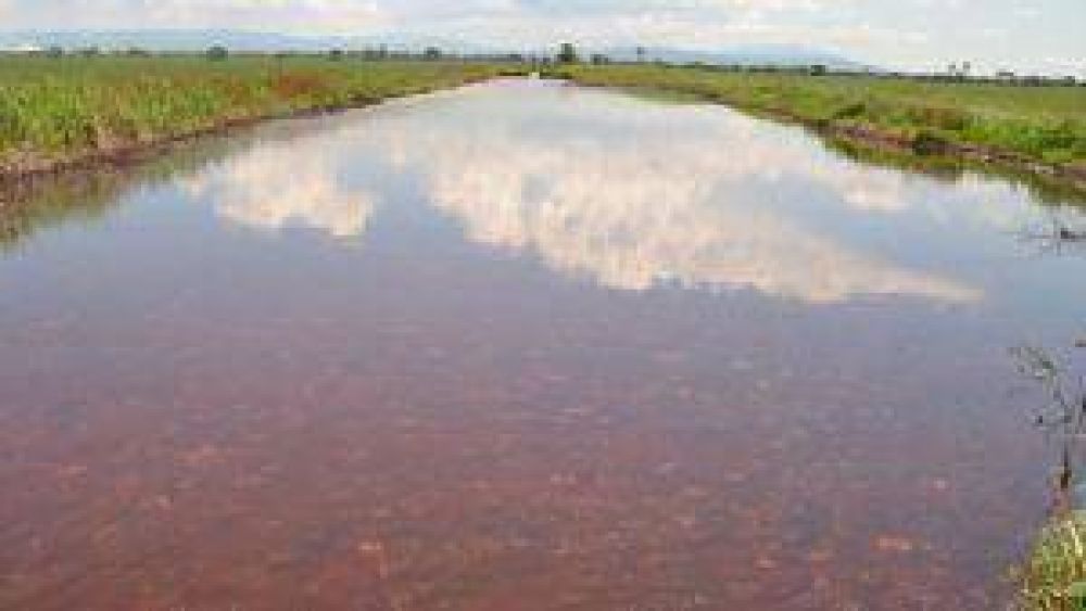 Temen el desborde de vinaza depositada en canales p�blicos 