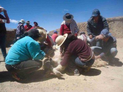 Egresan primeros t�cnicos ind�genas