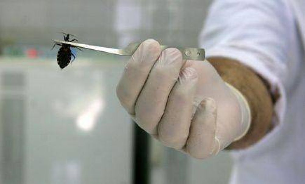 Confirman que Misiones est� libre de chagas