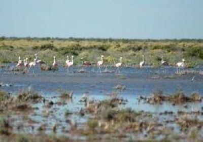 San Juan, tras la recuperaci�n de las Lagunas de Guanacache
