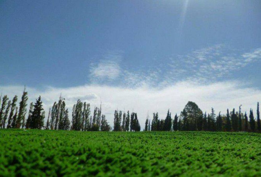 San Jorge de San Rafael, ya tiene su cancha de piso sint�tico 
