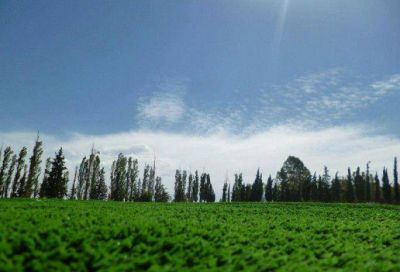 San Jorge de San Rafael, ya tiene su cancha de piso sint�tico 