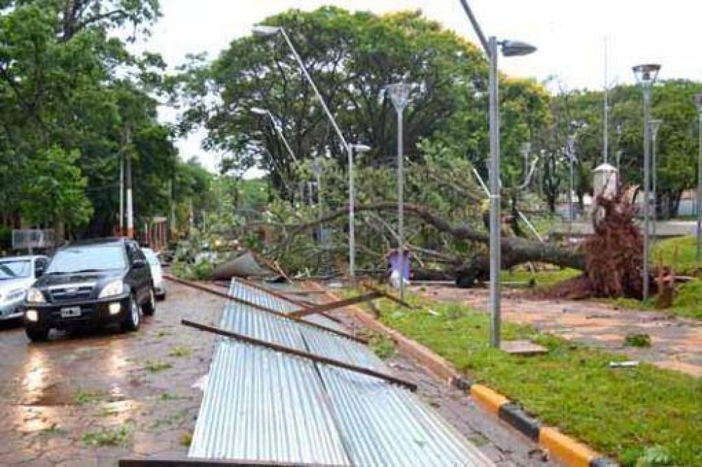 La tormenta dej� un muerto y destrozos en toda la regi�n