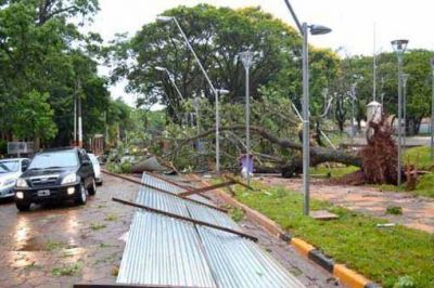 La tormenta dej� un muerto y destrozos en toda la regi�n