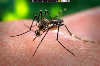 Advierten que el riesgo potencial de dengue en Corrientes es alto