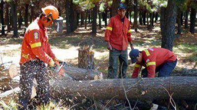 Paran por tres d�as los brigadistas y no combatir�n incendios hasta el lunes
