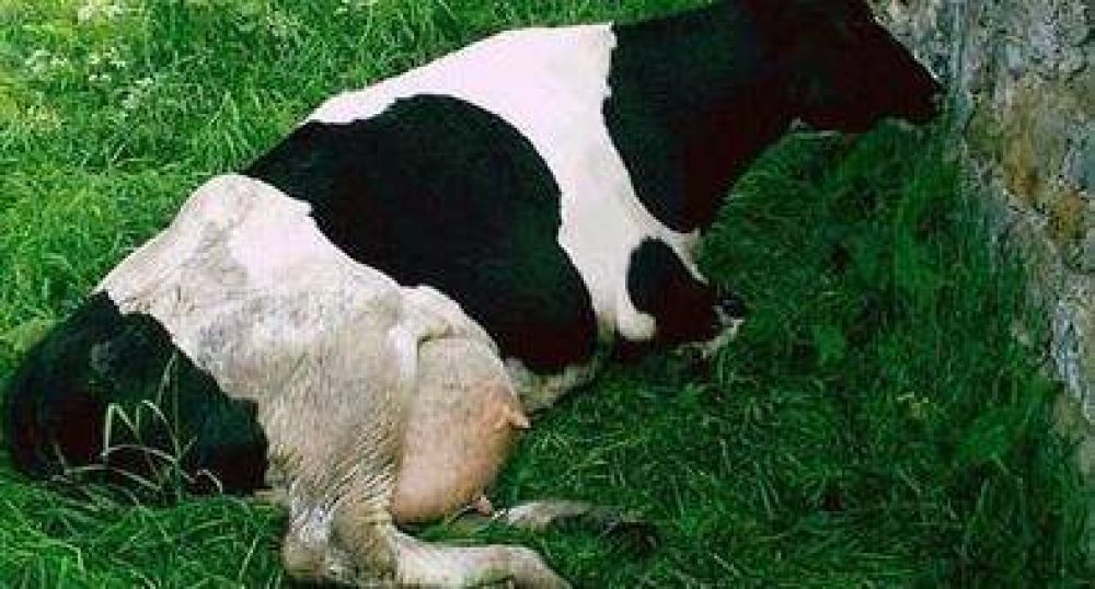 Afecciones con signologa Nerviosa