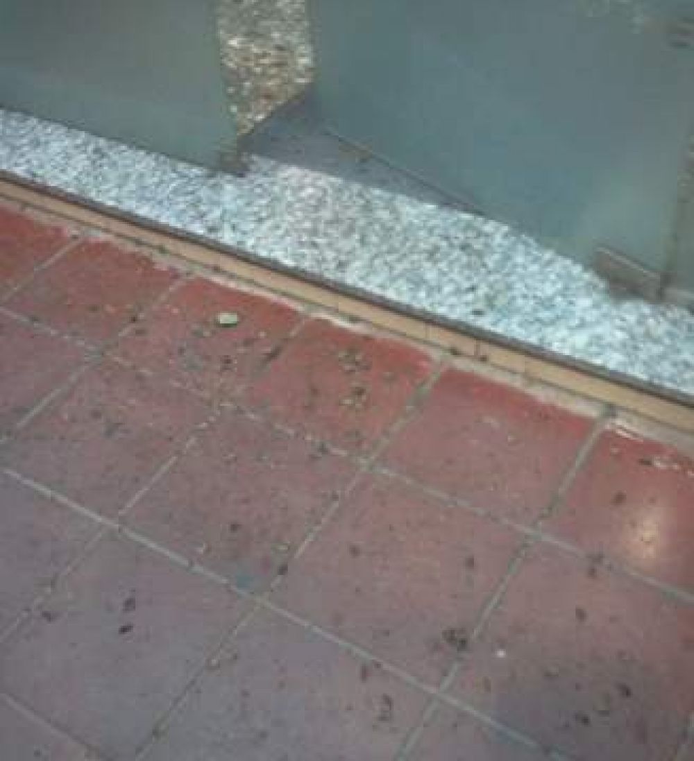 Invasi�n de bichos en Jun�n