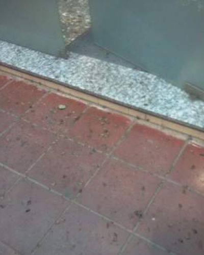 Invasi�n de bichos en Jun�n