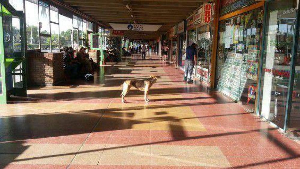 Un corte de luz afect� a gran parte de San Jos� 