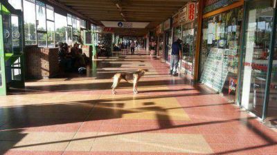 Un corte de luz afect� a gran parte de San Jos� 