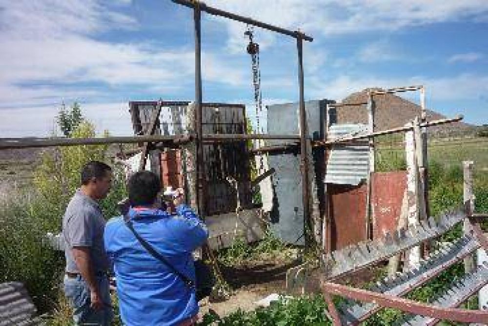 Descubrieron un matadero clandestino en Zapala 