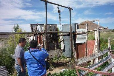 Descubrieron un matadero clandestino en Zapala 