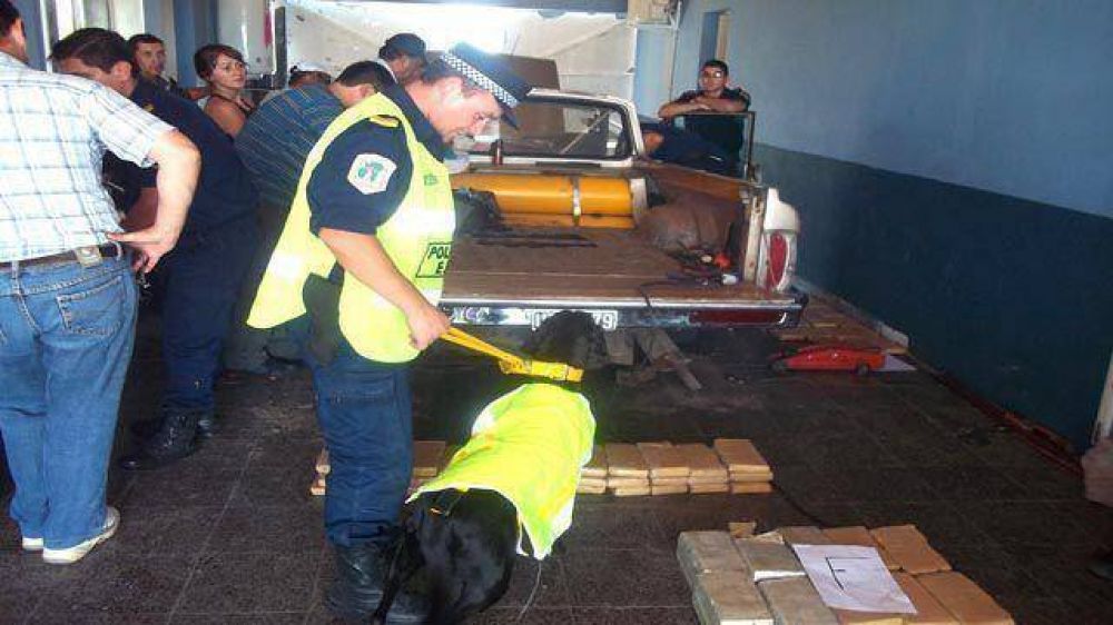 Perros adiestrados hallaron 4.000 kilos de droga en 2012