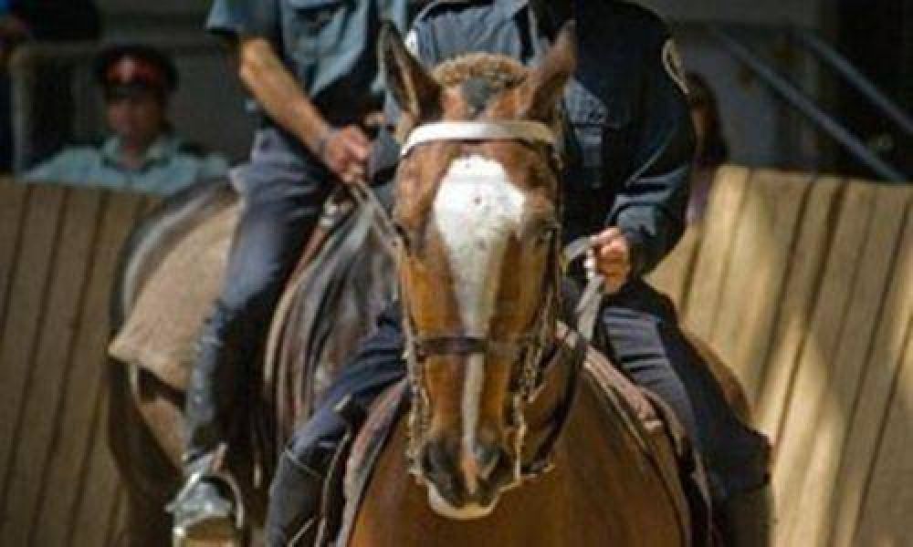Avellaneda: los vecinos ya pueden inscribirse en el Escuadr�n de Caballer�a del distrito