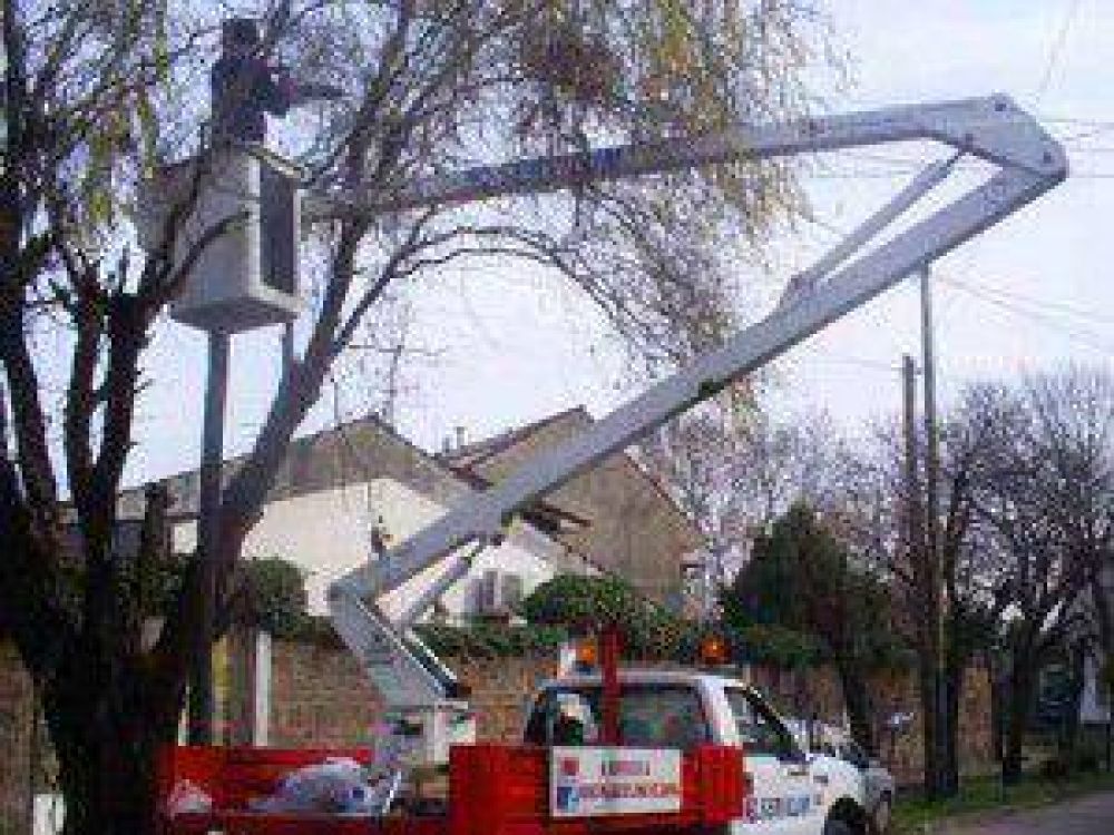 Lomas: avanza el plan de repotenciaci�n lum�nica