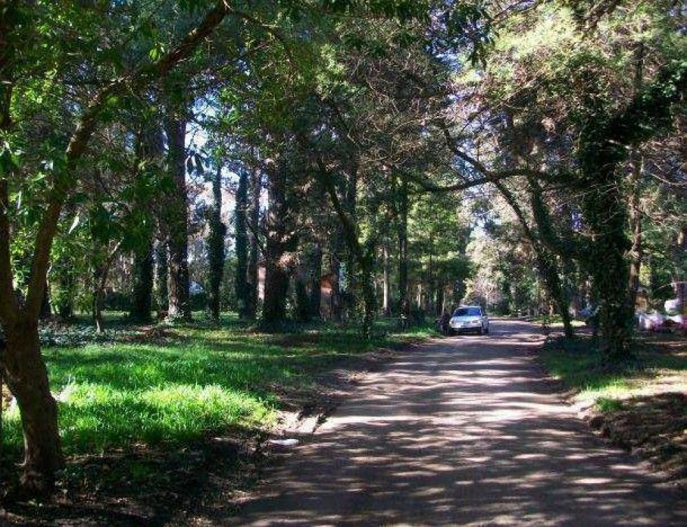 OSSE habilitar� la red de agua en el Bosque Peralta Ramos