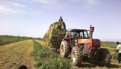 Comprueban obras de desbarre de represas y entregan pasto a corrales comunitarios