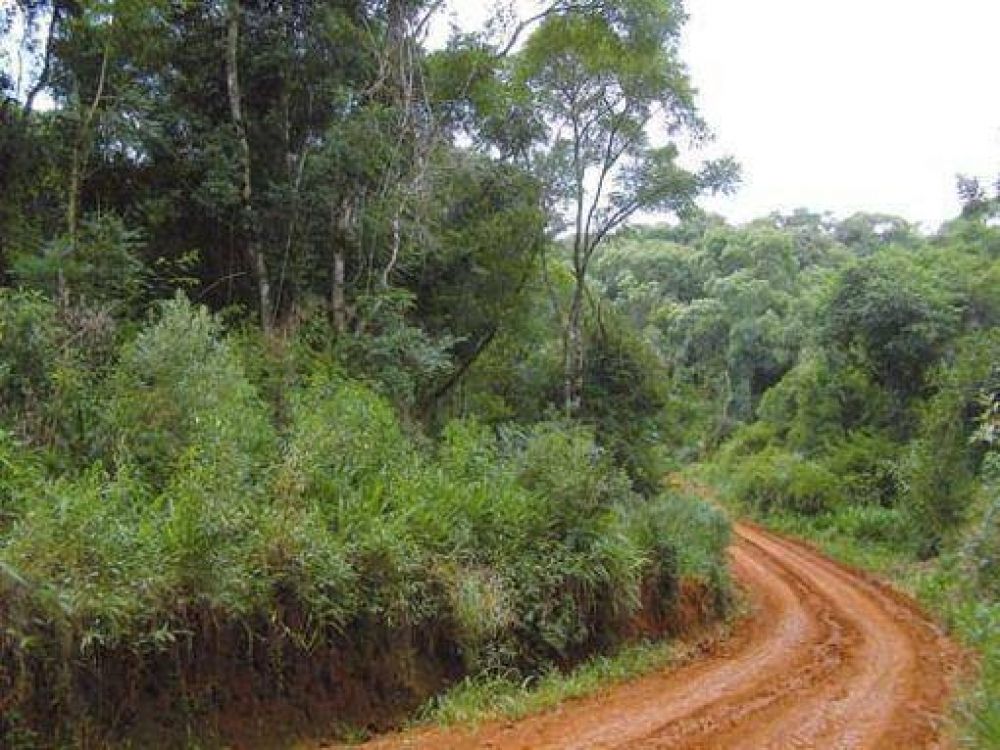 Seis municipios crean un consorcio de conservaci�n