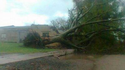 Fuertes tormentas provocaron inconvenientes en la provincia