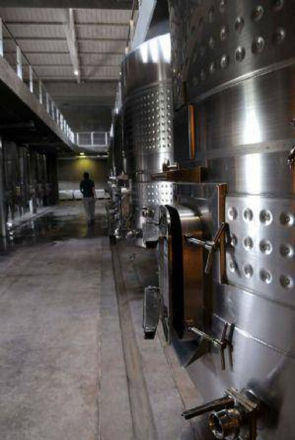 Chile busca en Mendoza vino a granel para exportar