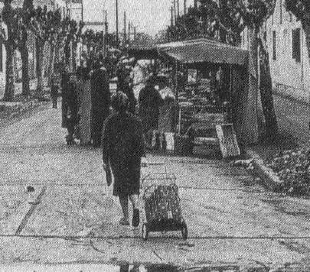 156 a�os de San Mart�n: historia y vida del distrito