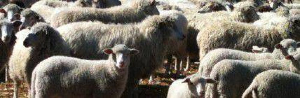 Peque�os productores reclaman ordenanza para vender en Bariloche