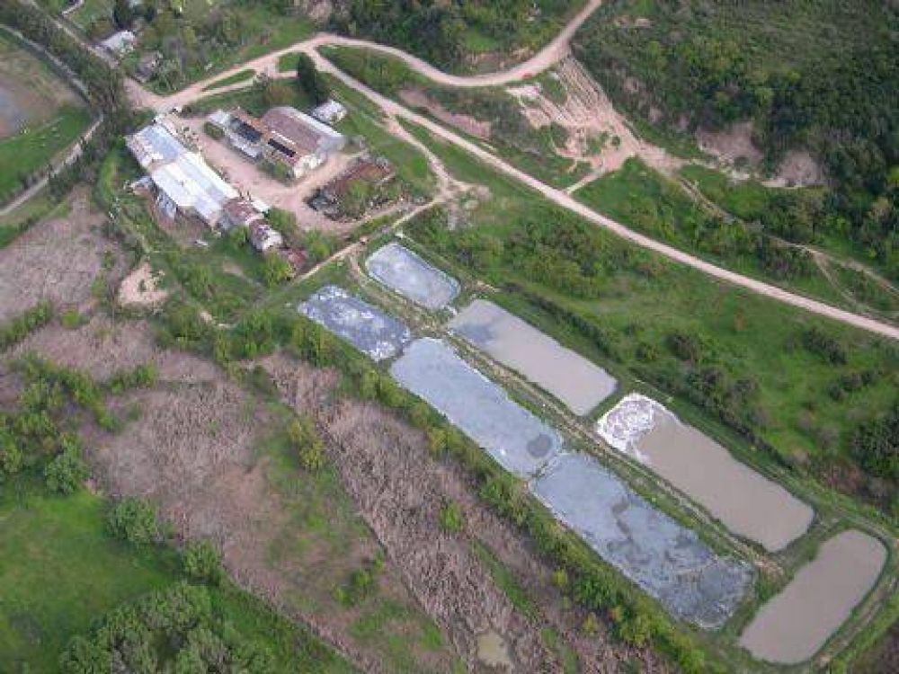 Preocupacin por las consecuencias que puede provocar la empresa Celulosa S.A. en materia ambiental