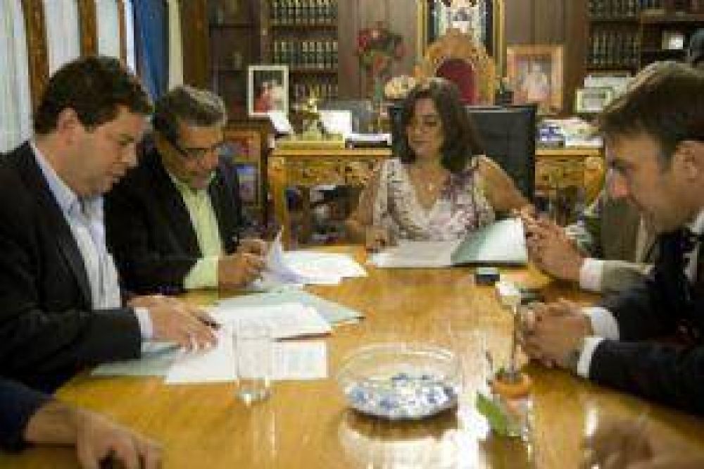 Fuerte apuesta a la producci�n oliv�cola