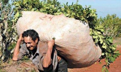Advierten que el �impuestazo� al agro sigue vigente