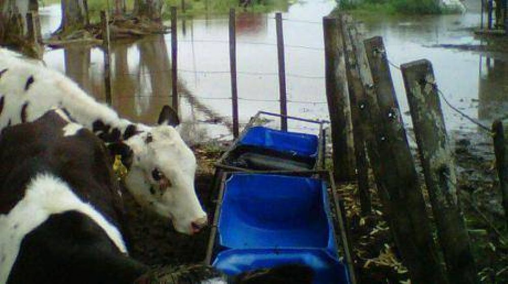 Un aguacero dej� bajo agua a Freyre