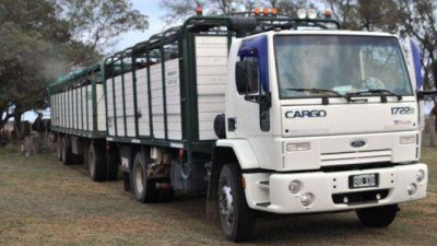 Federaci�n: concejal radical acusado de "cuatrero"