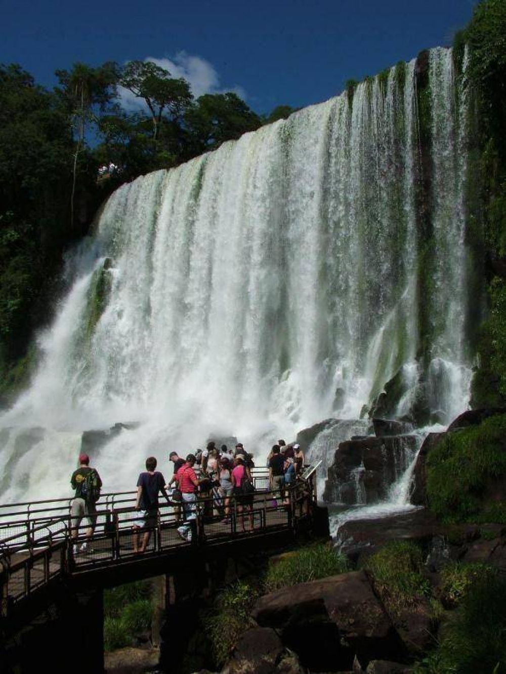 El intendente del Parque Nacional Iguaz� ser� trasladado a Chaco