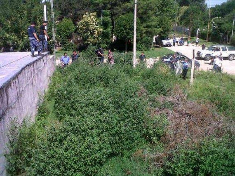 Villa Mercedes: Medio Ambiente rescat� un puma de un bald�o