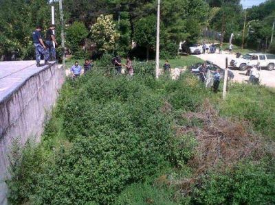 Villa Mercedes: Medio Ambiente rescat� un puma de un bald�o