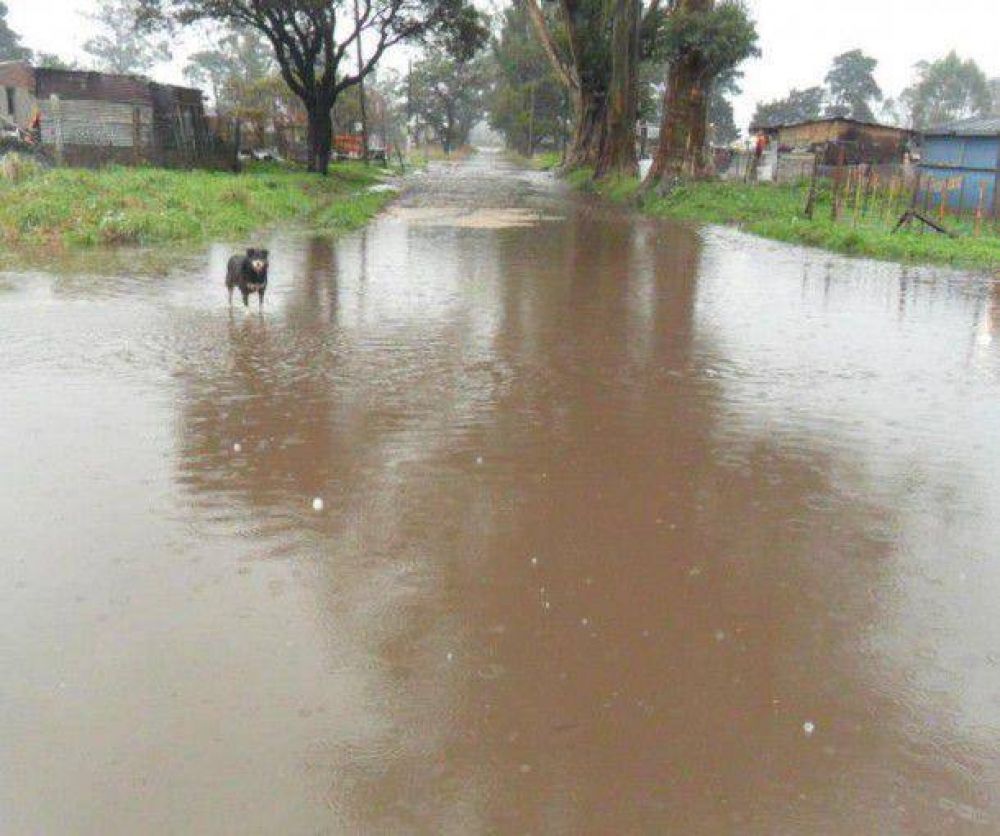 Calles anegadas y una familia evacuada en Mar del Plata
