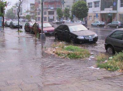 Cayeron 50 mil�metros en media hora