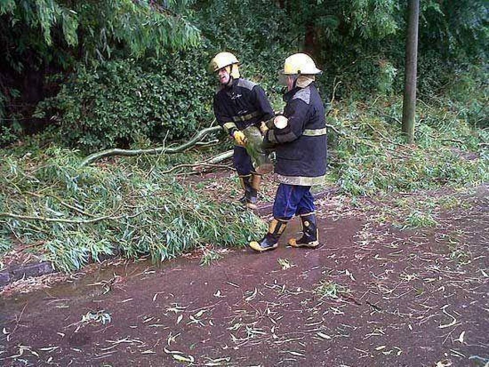 Arduo trabajo de bomberos y �rea municipales por los fuertes vientos y la intensa lluvia