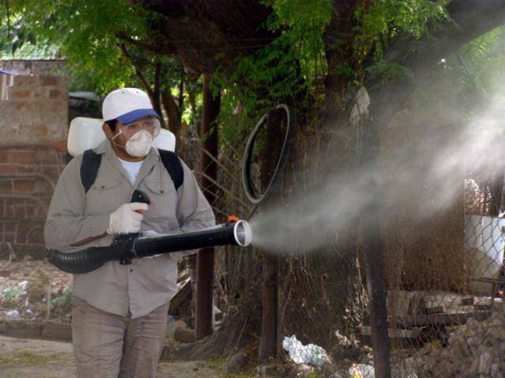 Alerta por el dengue en la frontera y compromiso de erradicar la vinchuca