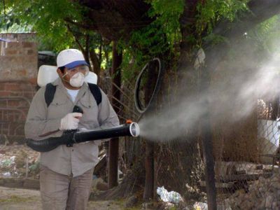Alerta por el dengue en la frontera y compromiso de erradicar la vinchuca