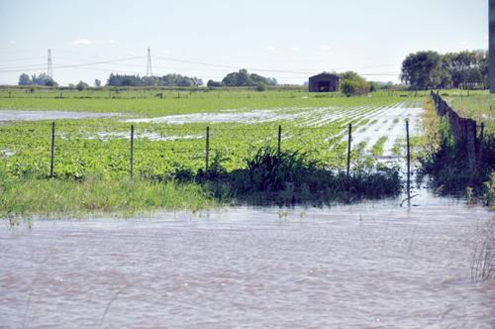 Estado de los cultivos en la zona: �Lo llovido este a�o supera la media�