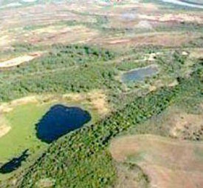 Investigan la apropiaci�n de 100.000 hect�reas de tierras fiscales.